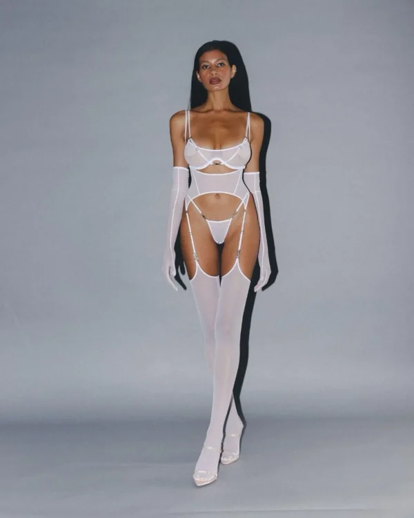 THE SWAN set