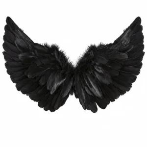 ANGEL wings